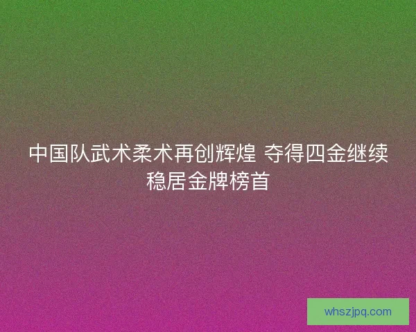 中国队武术柔术再创辉煌 夺得四金继续稳居金牌榜首